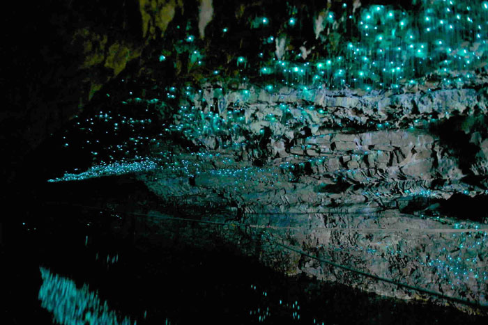 Glowworm Caves, Waitomo, New Zealand