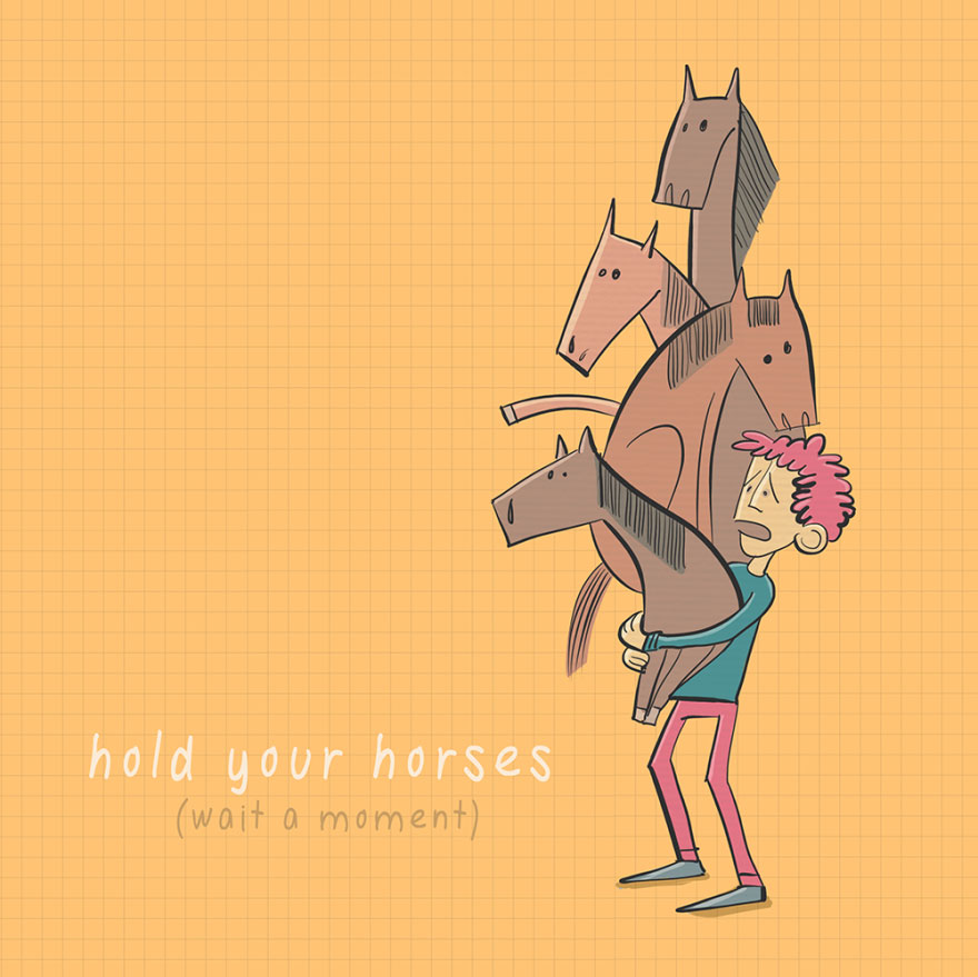 English idiom - Hold your horses