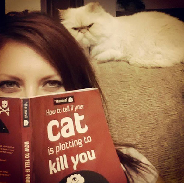Cat is secretly planning to kill you